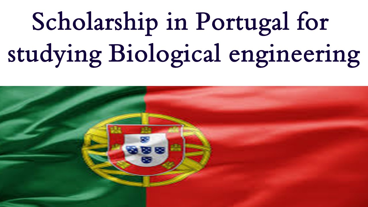 Scholarship in Portugal for studying Biological engineering. Free scholarships