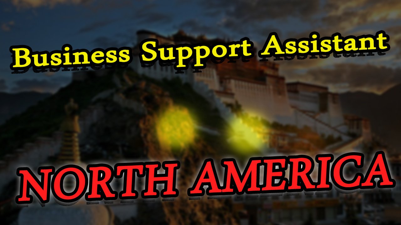 Business Support Assistant in North America 2025